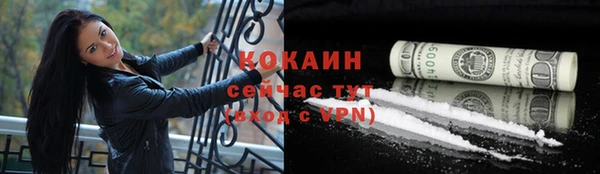 меф Ельня