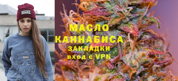 меф Ельня