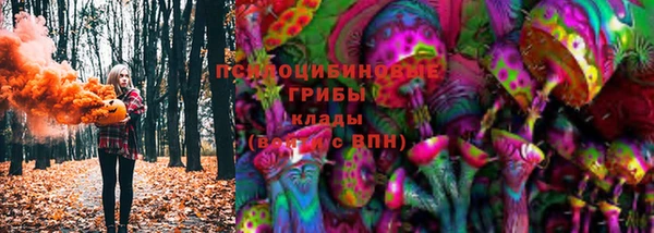 меф Ельня