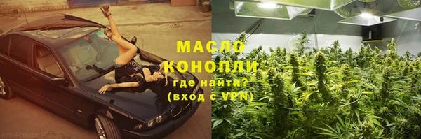 меф Ельня