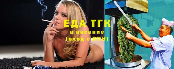 меф Ельня