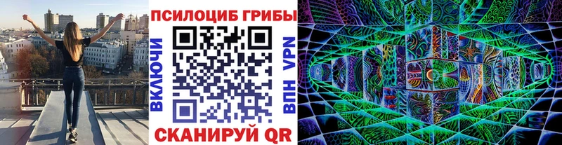 Псилоцибиновые грибы мицелий  Купить  Новотитаровская 