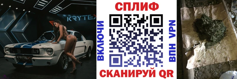Купить закладки  Новотитаровская  Шишки марихуана Amnesia 